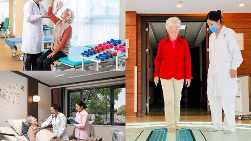 养老照护服务规范参数揭秘：解码服务质量关键指标